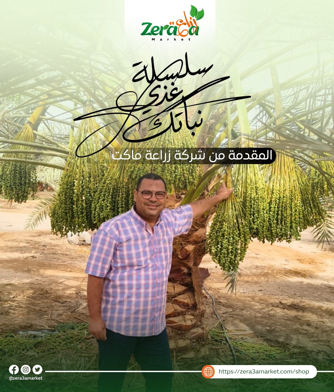 زراعة النخيل مع زراعة ماركت زراعة النخيل مع الدكتور عبدالرحمن