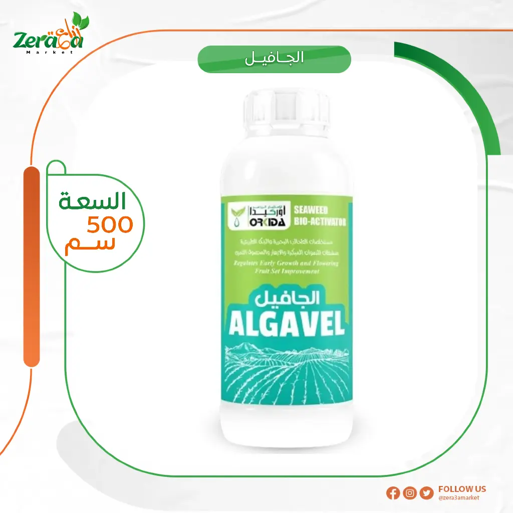 الجافيل طحالب - 500 سم