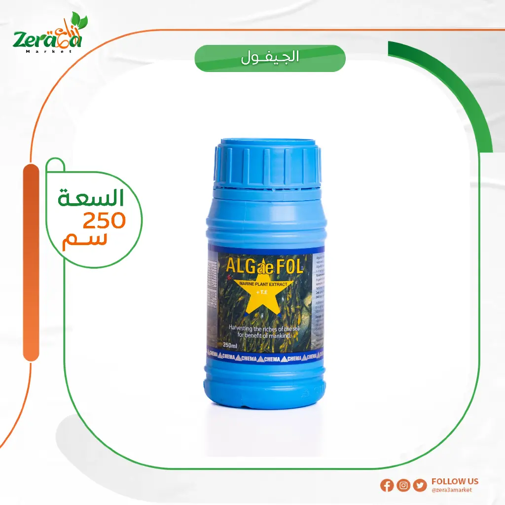 الجيفول طحالب - 250  سم