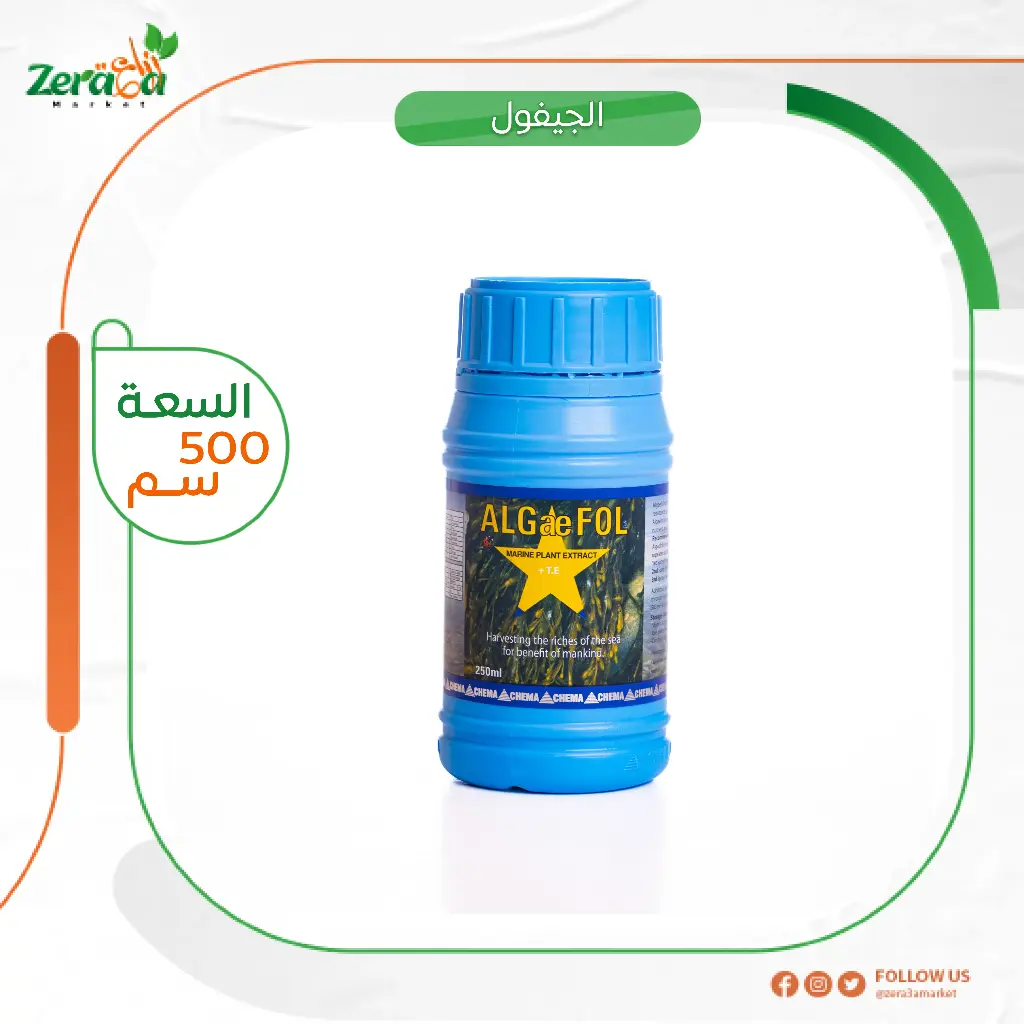 الجيفول طحالب - 500  سم