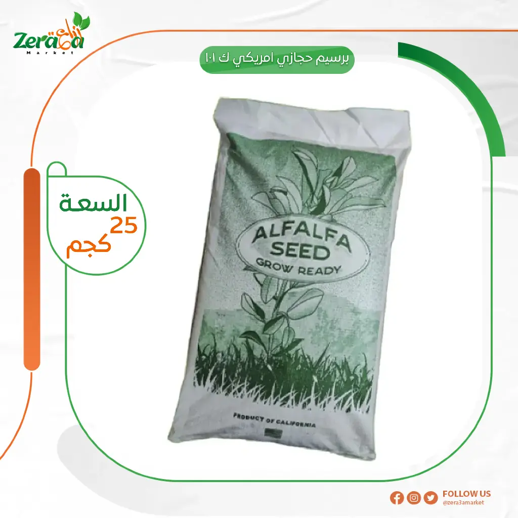 برسيم امريكي ك 101