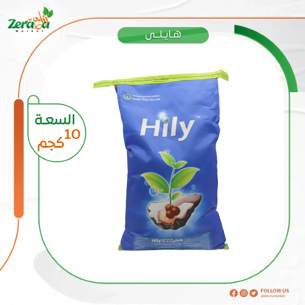 هايلي -  10كجم