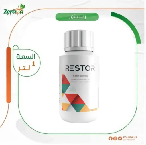 ريستور 