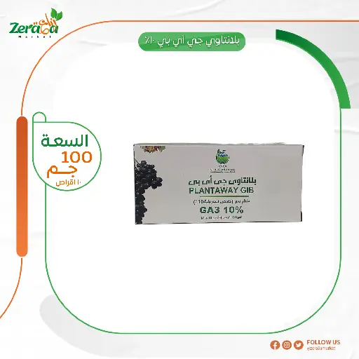 [GR00015] [بلانتاوي جي اي بي] عيوه 10 اقراص 